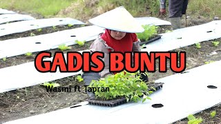 GADIS BUNTU • REJUNG POPULER •WASMI TANJUNG KARI FT TAPRAN •#gitartunggalbatangharisembilan