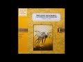 Philippe Besombes - Les Oiseaux De L'Atlantique