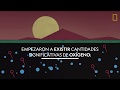 Nacimiento: One Strange Rock | Nat Geo