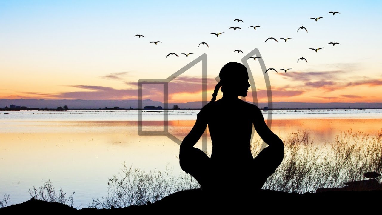 Best Calming Nature Relaxing Beautiful Scenery Of Nature Beautiful