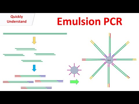 How does emulsion PCR work?