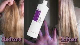 TESTING FANOLA NO YELLOW SHAMPOO | BEFORE \u0026 AFTER