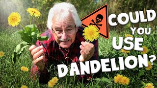 DANDELIONS ପାଇଁ ସର୍ବୋତ୍ତମ ବ୍ୟବହାର ପ୍ରକୃତରେ ...