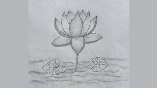 How to draw water lily from 