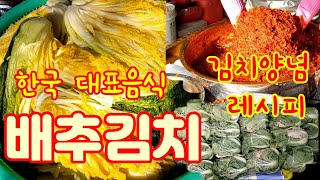 대한민국의 대표음식 김장 배추김치 황금양념레시피