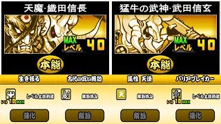 《BattleCats》Talents！Nobunaga ＆ Shingen