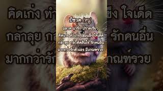 ลักษณะนิสัย : คนปีชวด | All Seeing