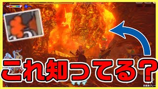 【モンハンライズ】溶岩洞にある謎のマークについて解説＆モンスター討伐【モンスターハンターライズ】