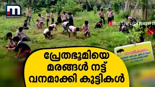 കാലുകുത്താന്‍ ആളുകള്‍ ഭയന്നിരുന്ന ശ്മശാനഭൂമി മരങ്ങള്‍ നട്ട് വനമാക്കി കുട്ടികള്‍| Mathrubhumi News