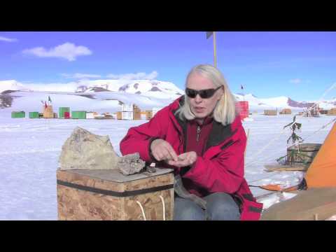 Who first reported seeing fossils of leaves and stems of plants in Antarctica?