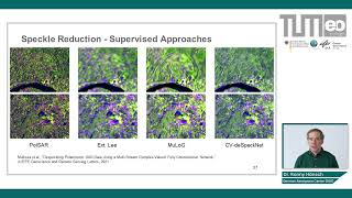 Deep Learning for SAR - Speckle Reduction