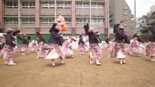 ゑにし 恋アゲハ 京都さくらよさこい 2015 御池中学校