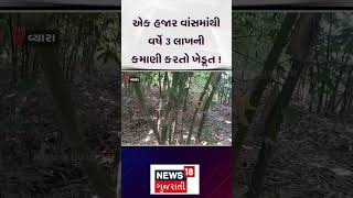 Tapi News | એક હજાર વાંસમાંથી વર્ષે 3 લાખની કમાણી કરતો ખેડૂત ! | Farming | Farm | Gujarat | N18S