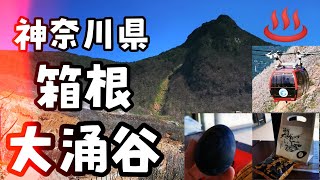 【大涌谷】神奈川県　箱根へ　黒たまご　食べに行ってきました〰️♫