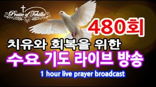 480회-테힐라TV수요치유기도방송 (밤9시30분에 시작합니다)