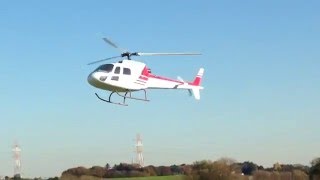 AS350   エキレイユ   上空飛行