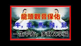 龍頭觀音保佑，人善命好【牛，羊，馬，猴，鼠】一生平安，多財又享福！