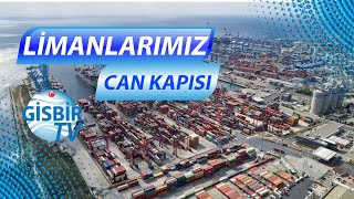 The importance of Turkish ports