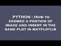 PYTHON : How to zoomed a portion of image and insert in the same plot in matplotlib