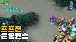 그랜드마스터 프로토스들과 다섯판 - 스타2 연겜