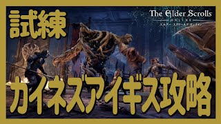 【ESO】エルダースクロールズオンライン　試練カイネズ・アイギス初挑戦！　10周年アニバーサリー　イセリアの末裔　[PS5版]日本語コンソール版　ギルメン募集　#98