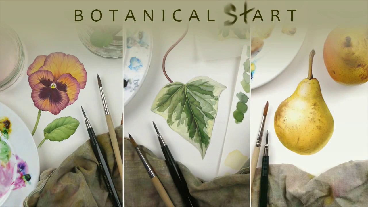 Watercolour Techniques Used For Botanical Art Youtube