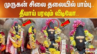 முருகன் சிலை தலையில் பாம்பு.. தீயாய் பரவும் வீடியோ..