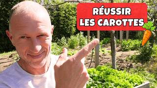 Comment réussir la carotte au potager familial