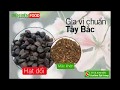 GIA VỊ TÂY BẮC - ĐẶC SẢN TÂY BẮC