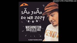 Washington Brasileiro - Jumentinho