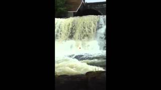 Waterfall Illusion