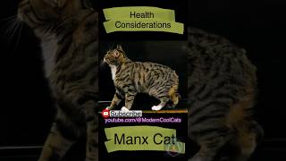 Manx cats, tailless or short-tailed appearance and healthy but have unique health considerations.