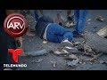 Árbol cae sobre adolescente mientras patinaba | Al Rojo Vivo | Telemundo