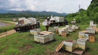 More On Our 2023 Sourwood Honey Crop