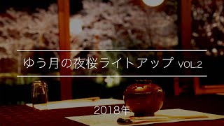 幻想的な夜桜ライトアップ 輝く桜の水鏡２｜綾部の料亭ゆう月