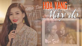 NHẠC TRỊNH HAY || Hoa Vàng Mấy Độ - Mộc San (St Trịnh Công Sơn) || Official MV 4k