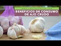 ¿CUÁLES SON LOS BENEFICIOS DE CONSUMIR AJO CRUDO? | Propiedades del ajo