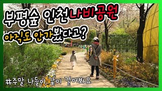 (eng)서울 근교 나들이/ 주말가볼만한곳 / 인천나비공원 / 인천가볼만한곳 /여행브이로그 일상VLOG / 직장인 일상 브이로그