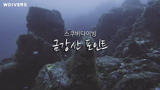 고성의 아름다운 수중 금강산 (feat. 오징어)