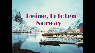 Reine at Lofoten Island,  Norway  挪威雷訥 l 北極圈 羅浮敦群島