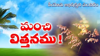 మంచి విత్తనము ! Morning Word of God ◆Ps.S.Daniel Garu●ZAM Telugu Messages