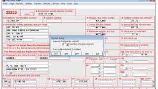 W-2s - Printing Forms in the W-2/1099 Forms Filer