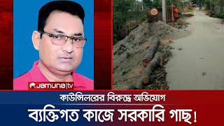 সরকারি গাছ কেটে নিলেন কাউন্সিলর! ঝুঁকিতে শহররক্ষা বাঁধ | Tree Cutting