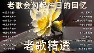 70-90年代台湾经典老歌 ❣ 50岁以上的人最爱的怀旧歌曲合集 🛶 一人一首-懷舊金曲【尤雅 - 邓丽君 - 劉家昌 - 青山 - 姚苏蓉】《因为我爱你, 后悔爱上你, 梦在妳怀中, 月兒像檸檬》