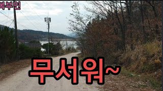 복부인 계란토스트#등산#닭강정#봄동된장국 오리훈제 쿡방 요리 먹방 mukbang mukbang