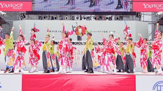 [4K] 七福よさこい連 祝禧　高知よさこい祭り 2019 本祭2日目 (中央)