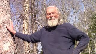 68 Crop Tree Selection in the Woodlot