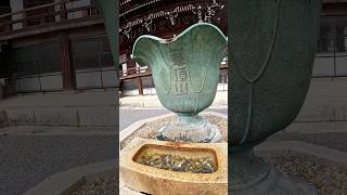 Chion-in Temple #京都旅行 #知恩院 #廟宇文化 #日本自由行 #entokuin #ちおんいん #kodaiji #japantrip #temple #culture