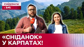 КАРПАТИ: Як живуть місцеві громади та чи розвивається тутешній туризм під час війни?