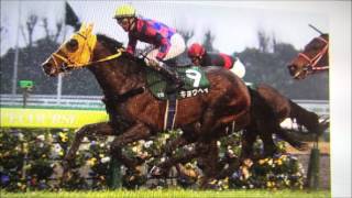 【競馬予想】　中京１１R　　愛知杯2017年